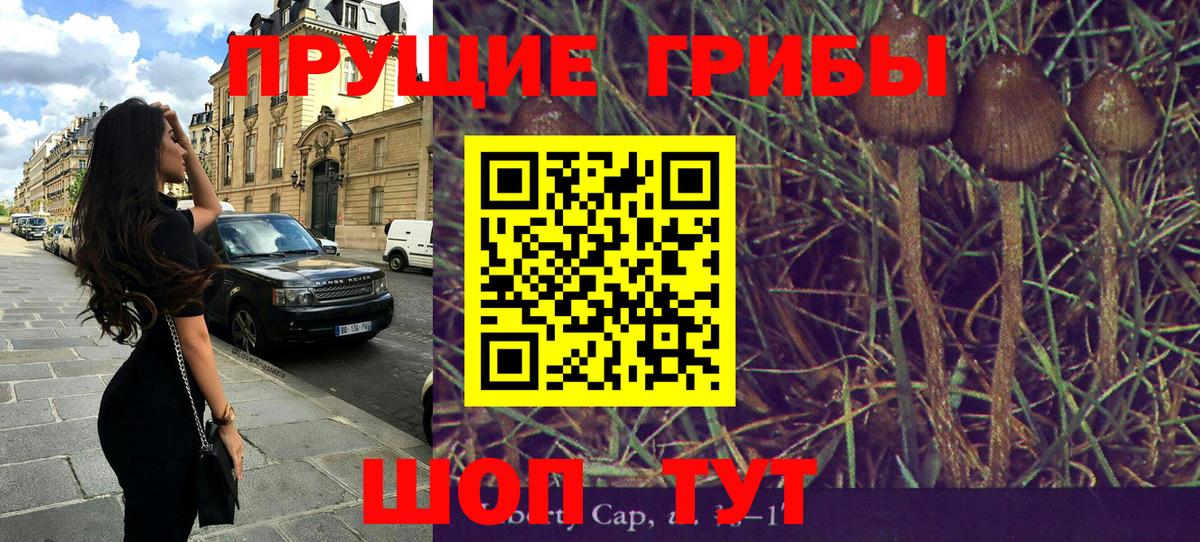 Холмск  Псилоцибиновые грибы ЛСД  Вход с VPN 