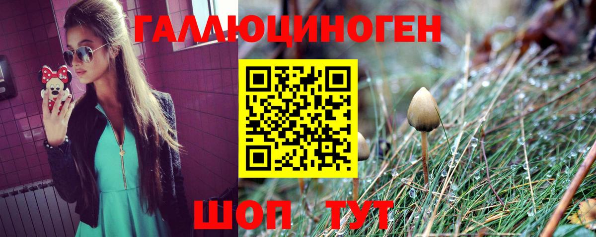 Псилоцибиновые грибы мухоморы Холмск